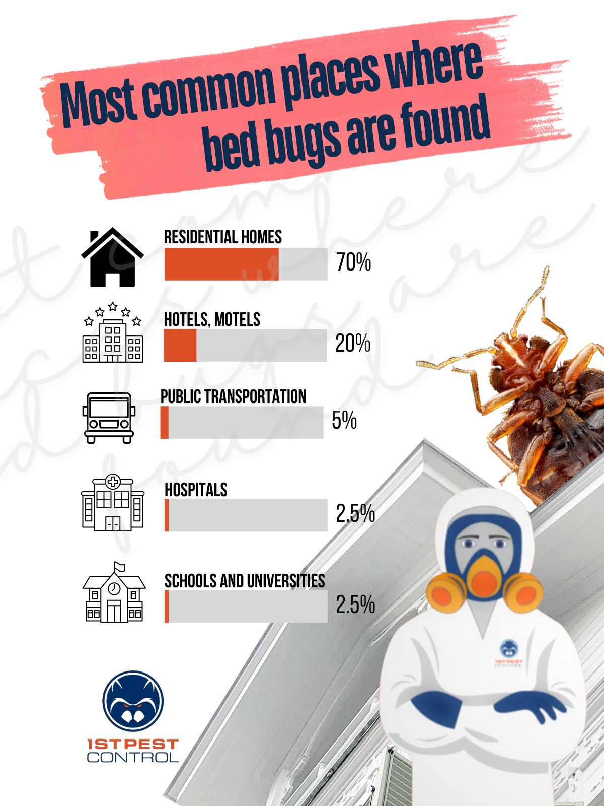 An infographic about the most common places where bed bugs are found