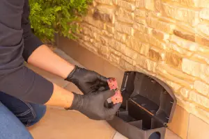 Vancouver rodent preventative service - Technician adding bait to a bait station