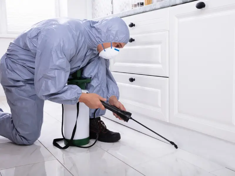 Pest control technician spraying to control cockroaches